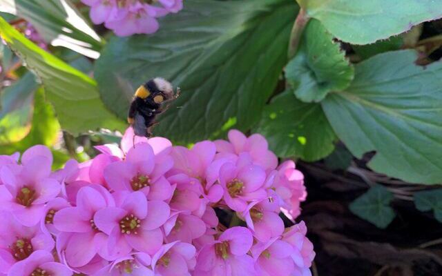 Alle Jahre wieder...